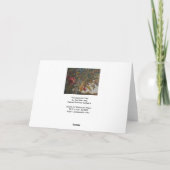 Granaatappelschilderij Kaart (Achterkant)