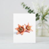 Granaatbloemen Briefkaart (Staand voorkant)