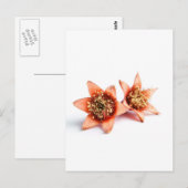 Granaatbloemen Briefkaart (Voorkant / Achterkant)