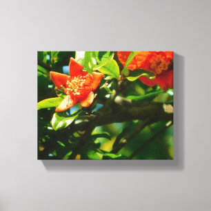 Granaatbloemen Canvas Afdruk