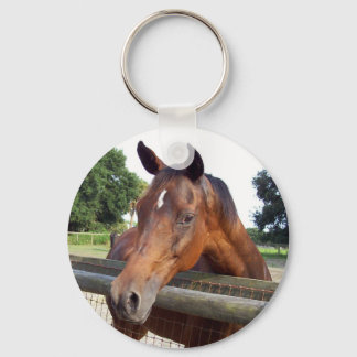 granaatrood sleutelhanger