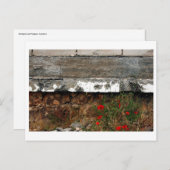 Granaatscherven en papavers, Sarajevo Briefkaart (Voorkant / Achterkant)