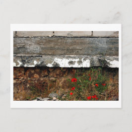Granaatscherven en papavers, Sarajevo Briefkaart