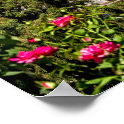 Granada, Andalusië, Spanje Poster (Hoek)