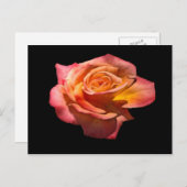 Granada Tea Roos Briefkaart (Voorkant / Achterkant)