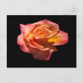 Granada Tea Roos Briefkaart (Voorkant)