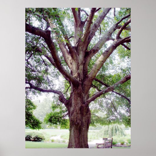 Grand1 Poster (Voorkant)