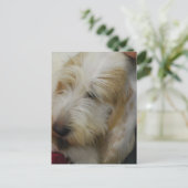 Grand Basset Dog Briefkaart (Staand voorkant)