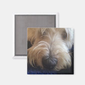 Grand Basset Griffon magneet (Voorkant / Achterkant)