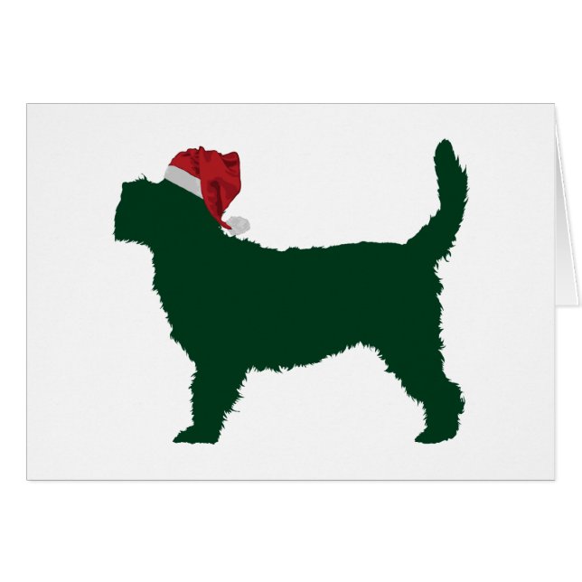 Grand Basset Griffon Vendeen (Voorkant Horizontaal)