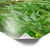 Grand Blue Heron Foto Afdruk (Hoek)