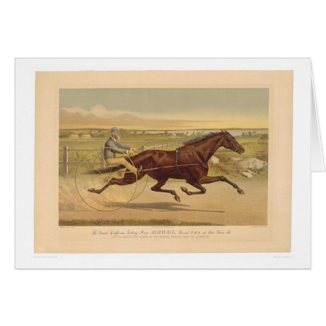 Grand California Trotting Mare Sunol (0652A) (Voorkant Horizontaal)