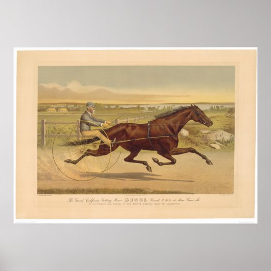 Grand California Trotting Mare Sunol (0652A) Poster (Voorkant)