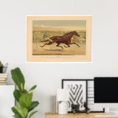Grand California Trotting Mare Sunol (0652A) Poster (Thuiskantoor)