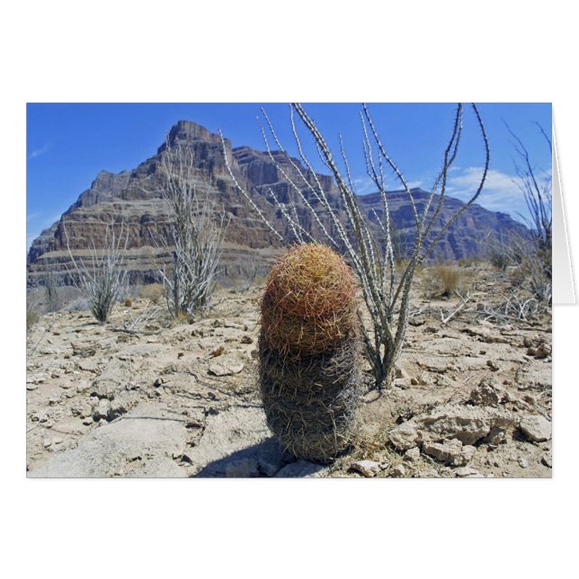 Grand Canyon (Voorkant Horizontaal)