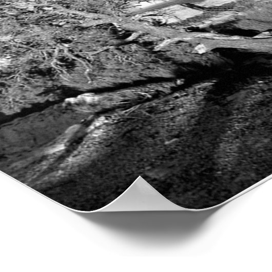 Grand Canyon 03 Poster (Hoek)