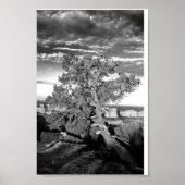 Grand Canyon 03 Poster (Voorkant)