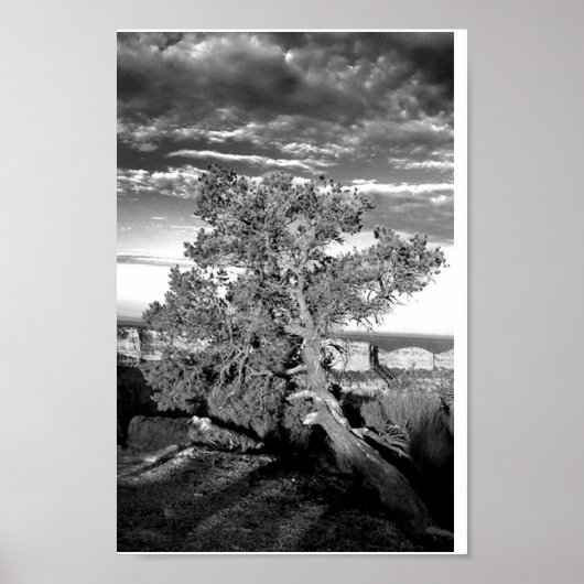 Grand Canyon 03 Poster (Voorkant)