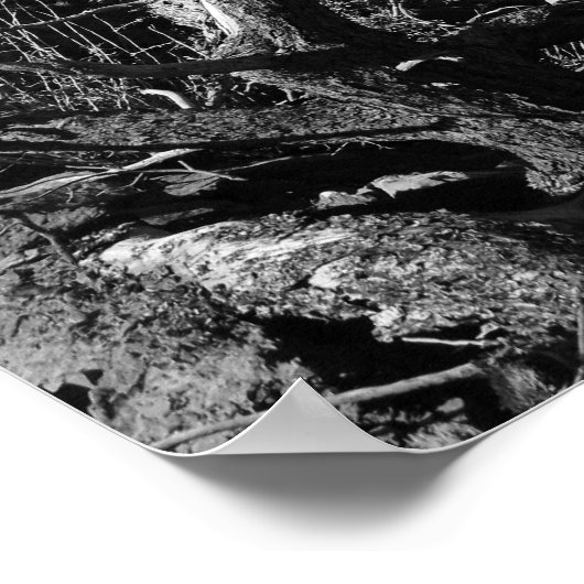 Grand Canyon #1 Poster (Hoek)