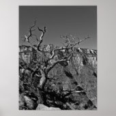 Grand Canyon #1 Poster (Voorkant)