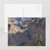 Grand Canyon (5) Briefkaart (Voorkant / Achterkant)