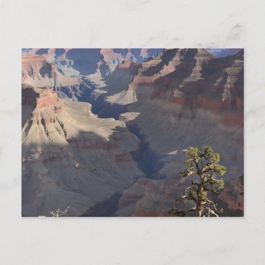 Grand Canyon (5) Briefkaart (Voorkant)