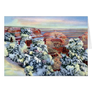 Grand Canyon Arizona in de winter