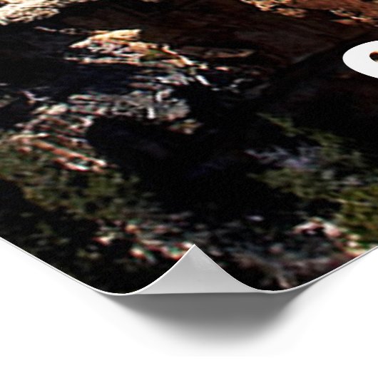 Grand Canyon, Arizona Poster (Hoek)