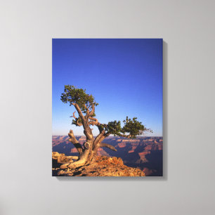 Grand Canyon, Arizona, Verenigde Staten Canvas Afdruk