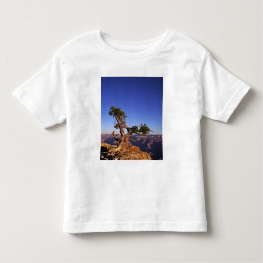 Grand Canyon, Arizona, Verenigde Staten Kinder Shirts (Voorkant)