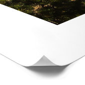 Grand Canyon, Arizona, Verenigde Staten Poster (Hoek)