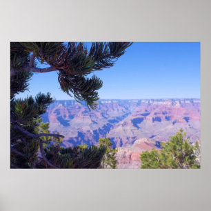 Grand Canyon - Arizona - Verenigde Staten Poster