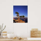 Grand Canyon, Arizona, Verenigde Staten Poster (Keuken)