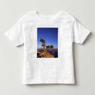 Grand Canyon, Arizona, VS Kinder Shirts