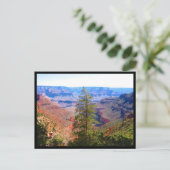 grand canyon boomgrens briefkaart (Staand voorkant)
