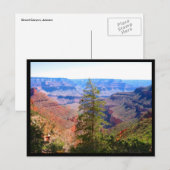 grand canyon boomgrens briefkaart (Voorkant / Achterkant)
