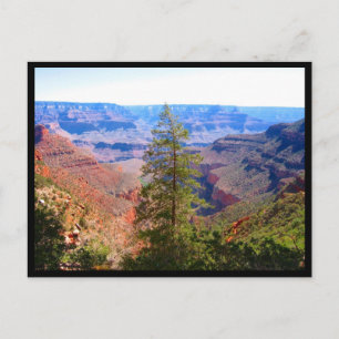 grand canyon boomgrens briefkaart