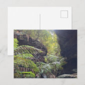 Grand Canyon Briefkaart (Voorkant / Achterkant)