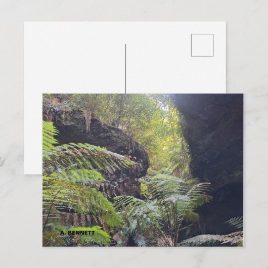 Grand Canyon Briefkaart (Voorkant / Achterkant)