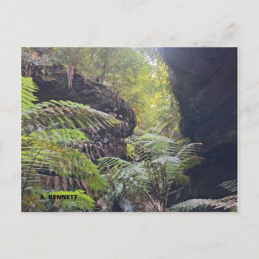 Grand Canyon Briefkaart (Voorkant)