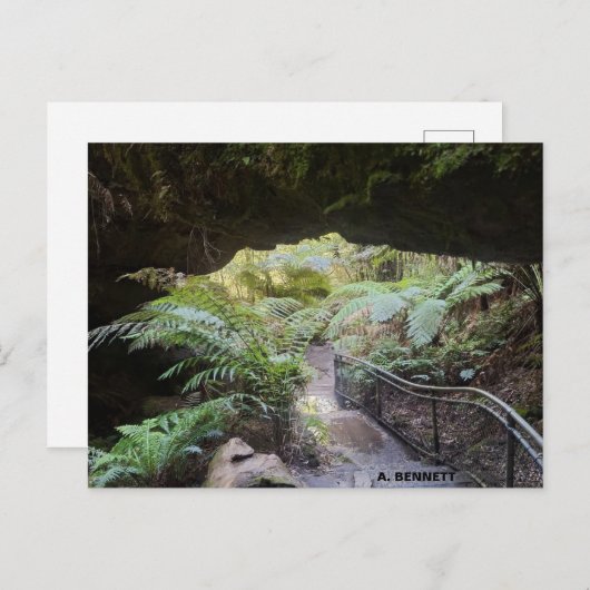 Grand Canyon Briefkaart (Voorkant / Achterkant)