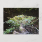 Grand Canyon Briefkaart (Voorkant)