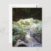 Grand Canyon Briefkaart (Voorkant / Achterkant)