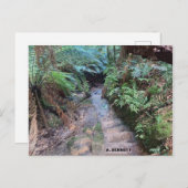 Grand Canyon Briefkaart (Voorkant / Achterkant)