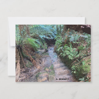 Grand Canyon Briefkaart