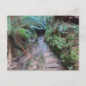 Grand Canyon Briefkaart (Voorkant)