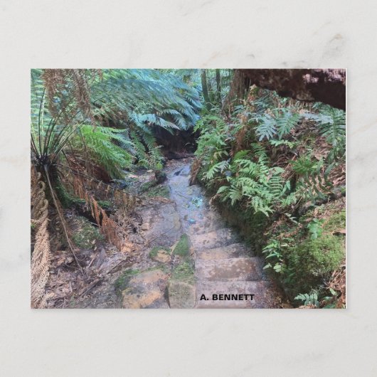 Grand Canyon Briefkaart (Voorkant)