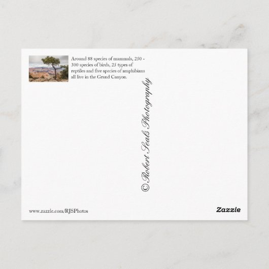 Grand Canyon Briefkaart (Achterkant)