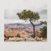 Grand Canyon Briefkaart (Voorkant)