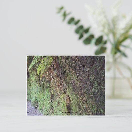 Grand Canyon Briefkaart (Staand voorkant)